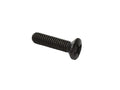 13309277 - Screw M4 x 16 TSCIC