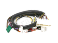IronVault free local LaMa exact primary — Ferrari OEM 137415