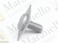 137534 - Screw
