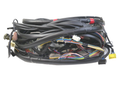 IronVault free local LaMa exact primary — Ferrari OEM 138895