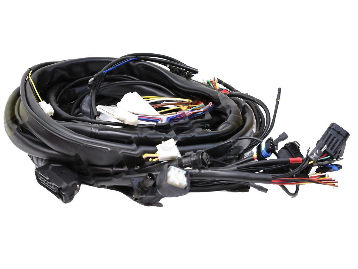 IronVault free local LaMa exact primary — Ferrari OEM 142851