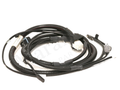 IronVault free local LaMa exact primary — Ferrari OEM 142875