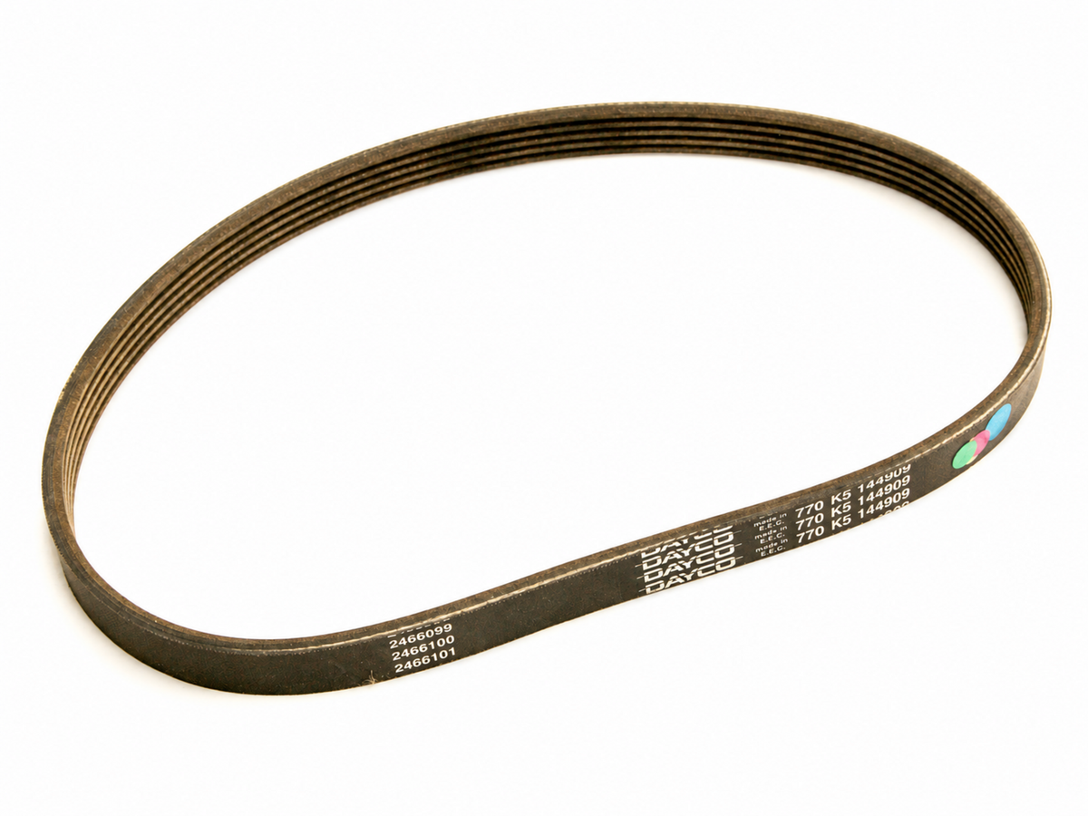 Ferrari Alternator Belt — OEM 144909