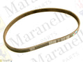 144909 - Alternator Belt