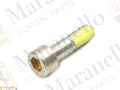 147366 - Screw