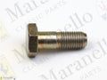 147846 - Screw