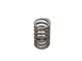 149353 - Valve Spring