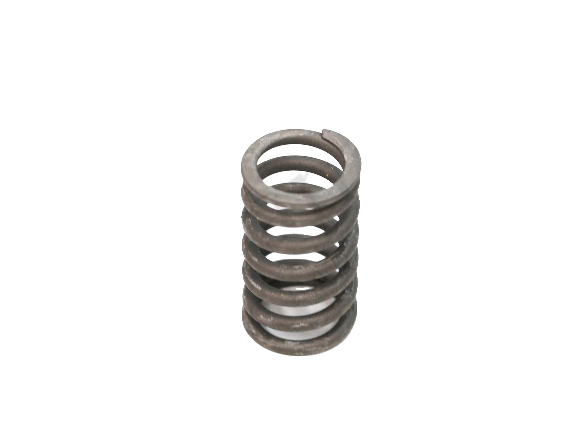 149353 - Valve Spring