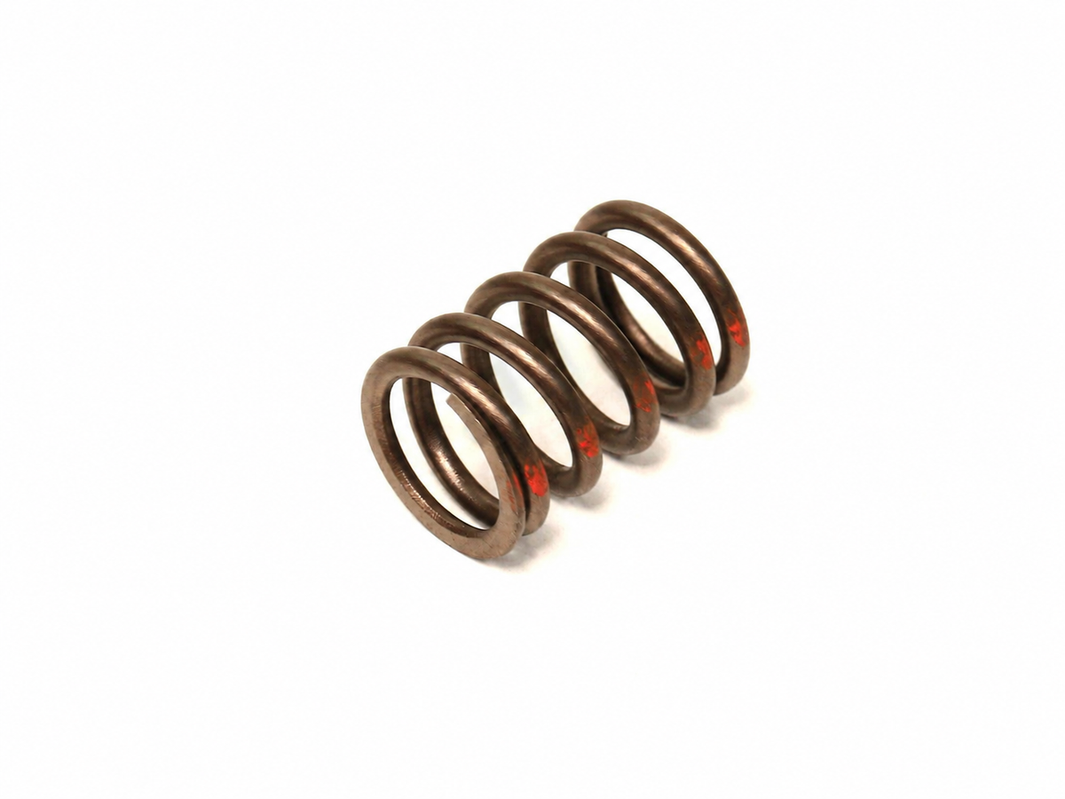 Ferrari Outer Valve Spring — OEM 149888