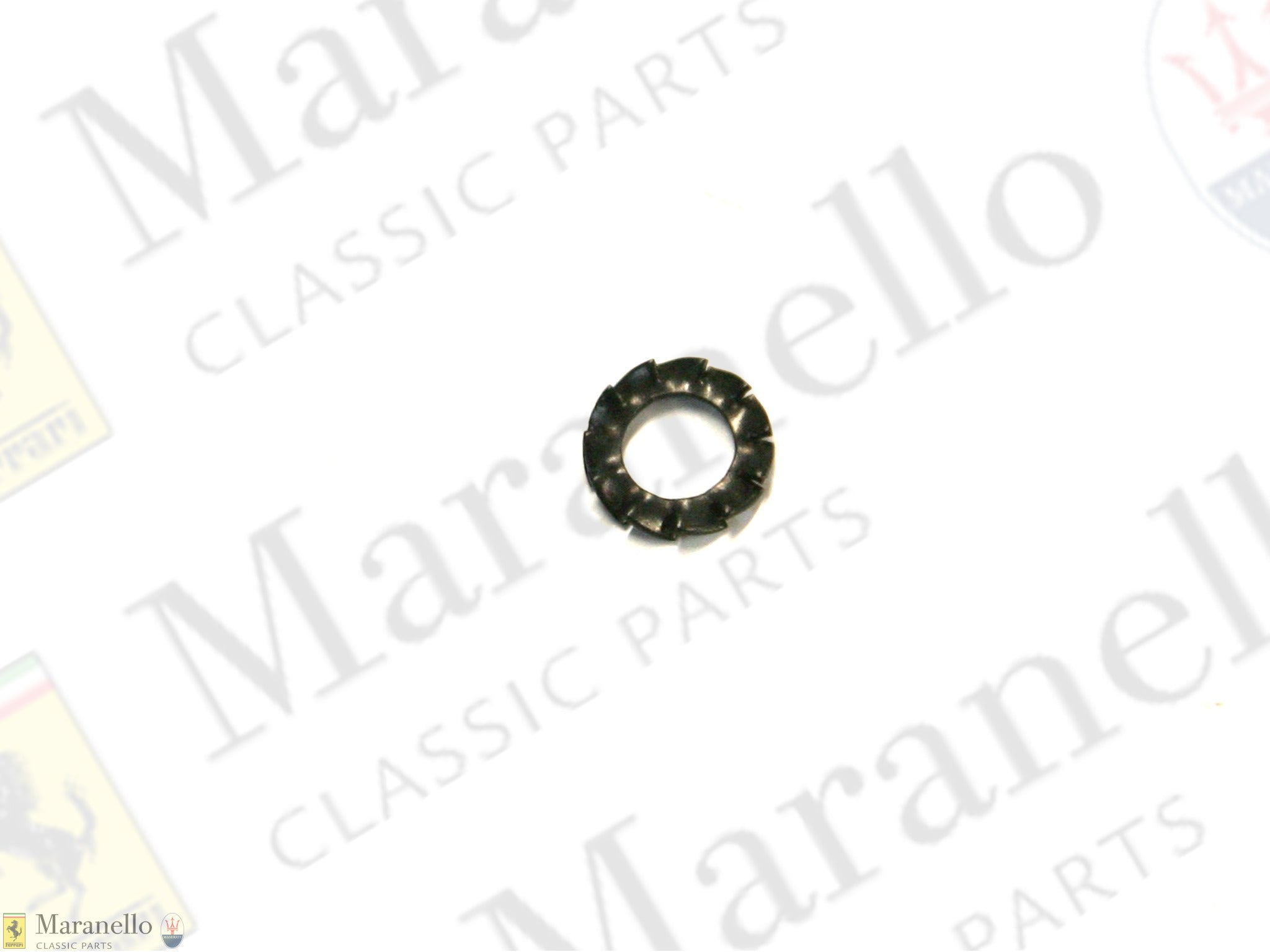 149951 - Shake Proof Washer