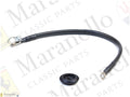 155067 - Earth Strap