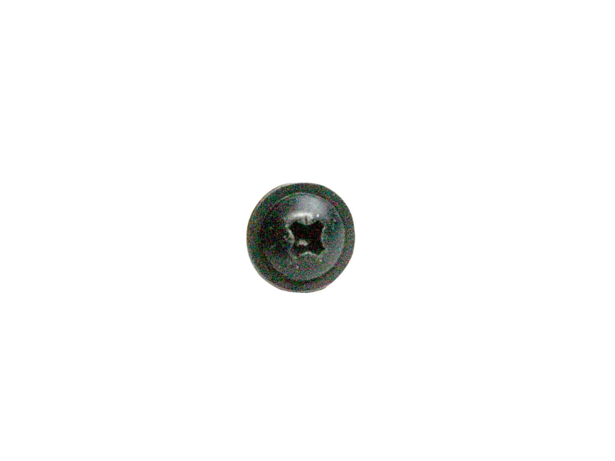 15538609 - Screw