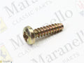 15644101 - Self Tapping Screw