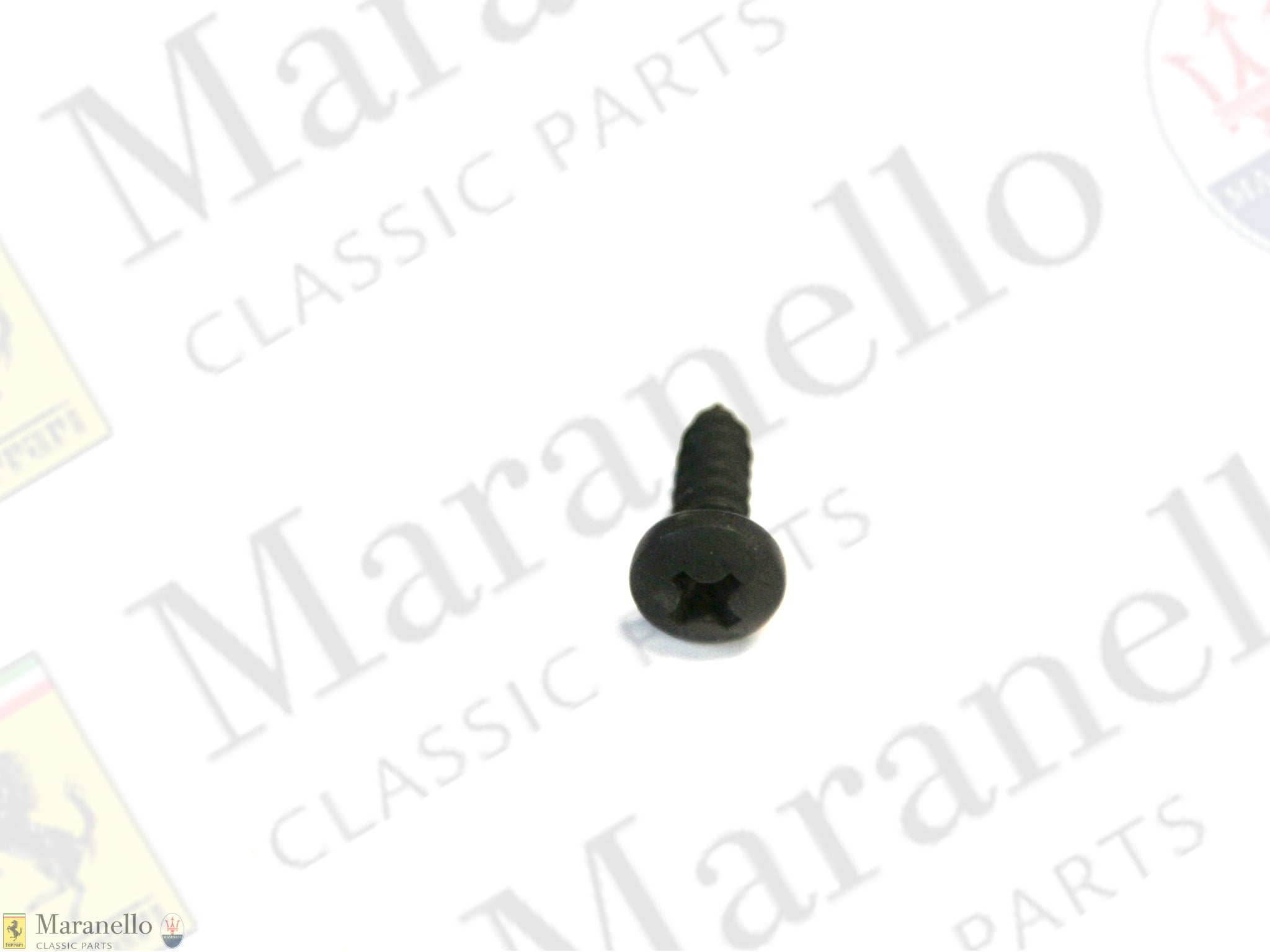 15688075 - Screw TBIC D. 4.8 x 19