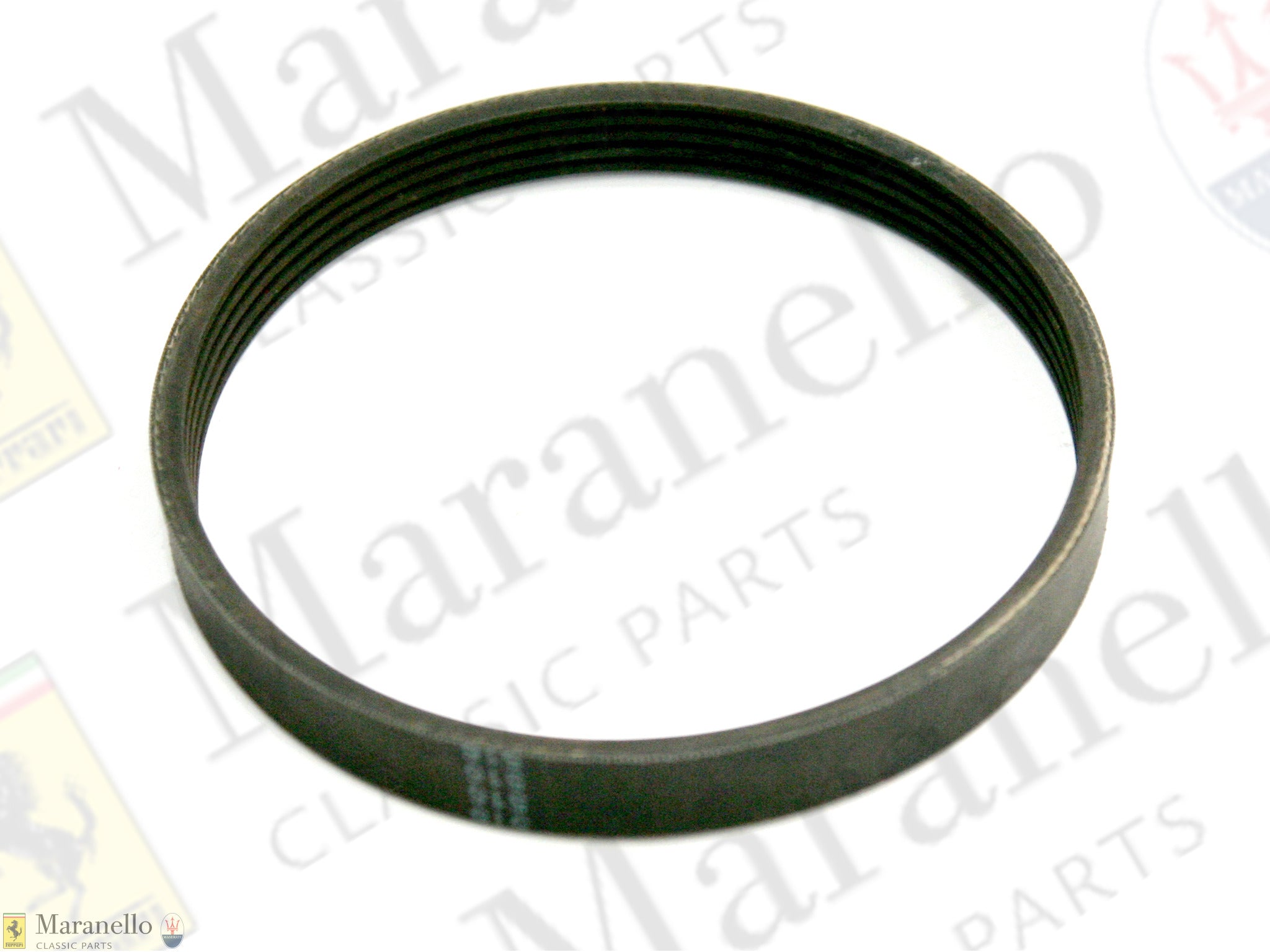 158101 - Power Steering Fan Belt