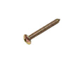 15961101 - Screw