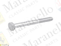 15971334 - Screw