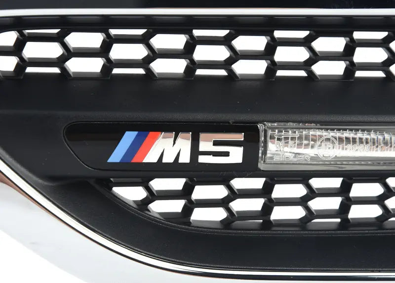 M5 GRILLE, SIDE PANEL FRONT VIEW