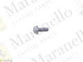 16287234 - SCREW