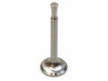 16676/A - Exhaust Valve Not For Comp