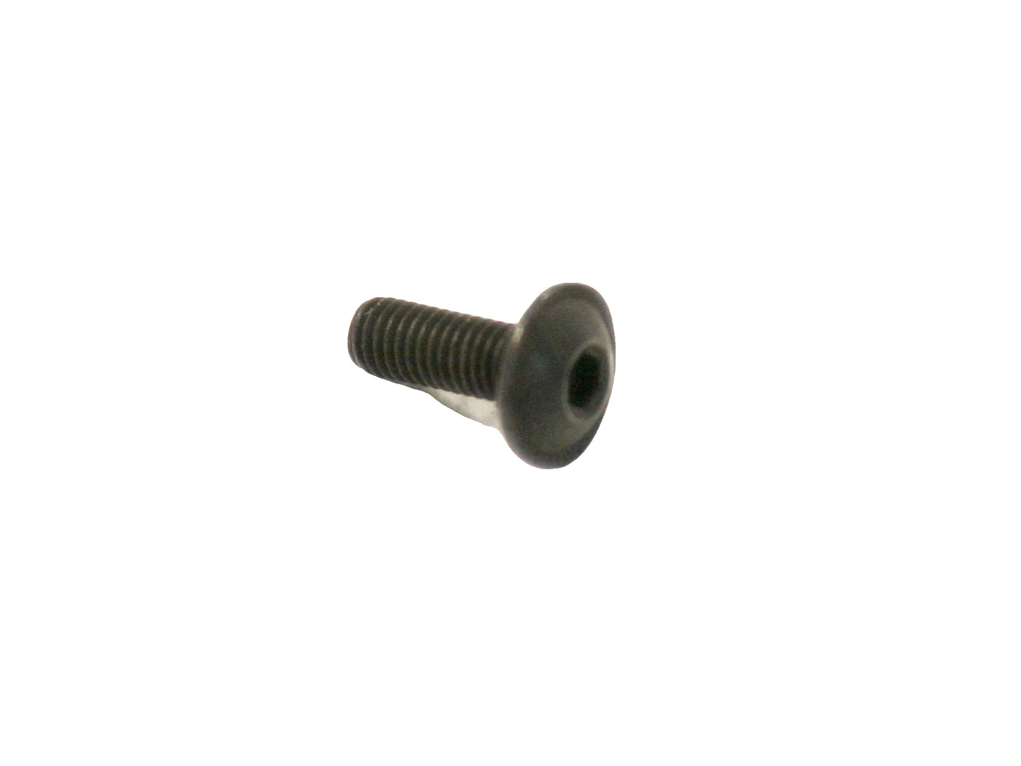 169814 - Screw M5 x 14 TBFEI