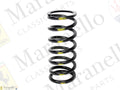 175887 - Rear Road Spring