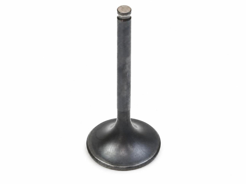 17692 - Exhaust Valve