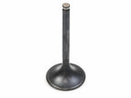 17692 - Exhaust Valve