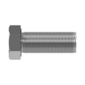 19M8002: 19M8002: Hexagonal Head Screw, M20 X 55
