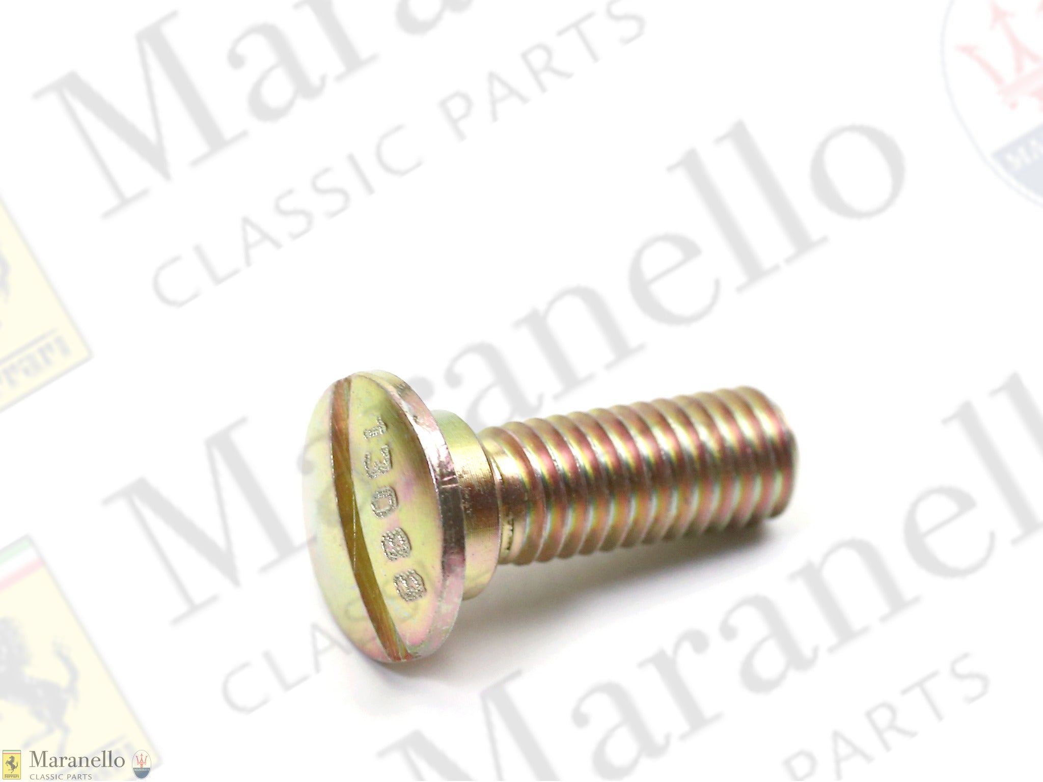 20100301 - Bonnet Stay Screw