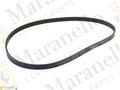 201456 - Water Pump Belt