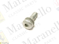 216575 - Screw