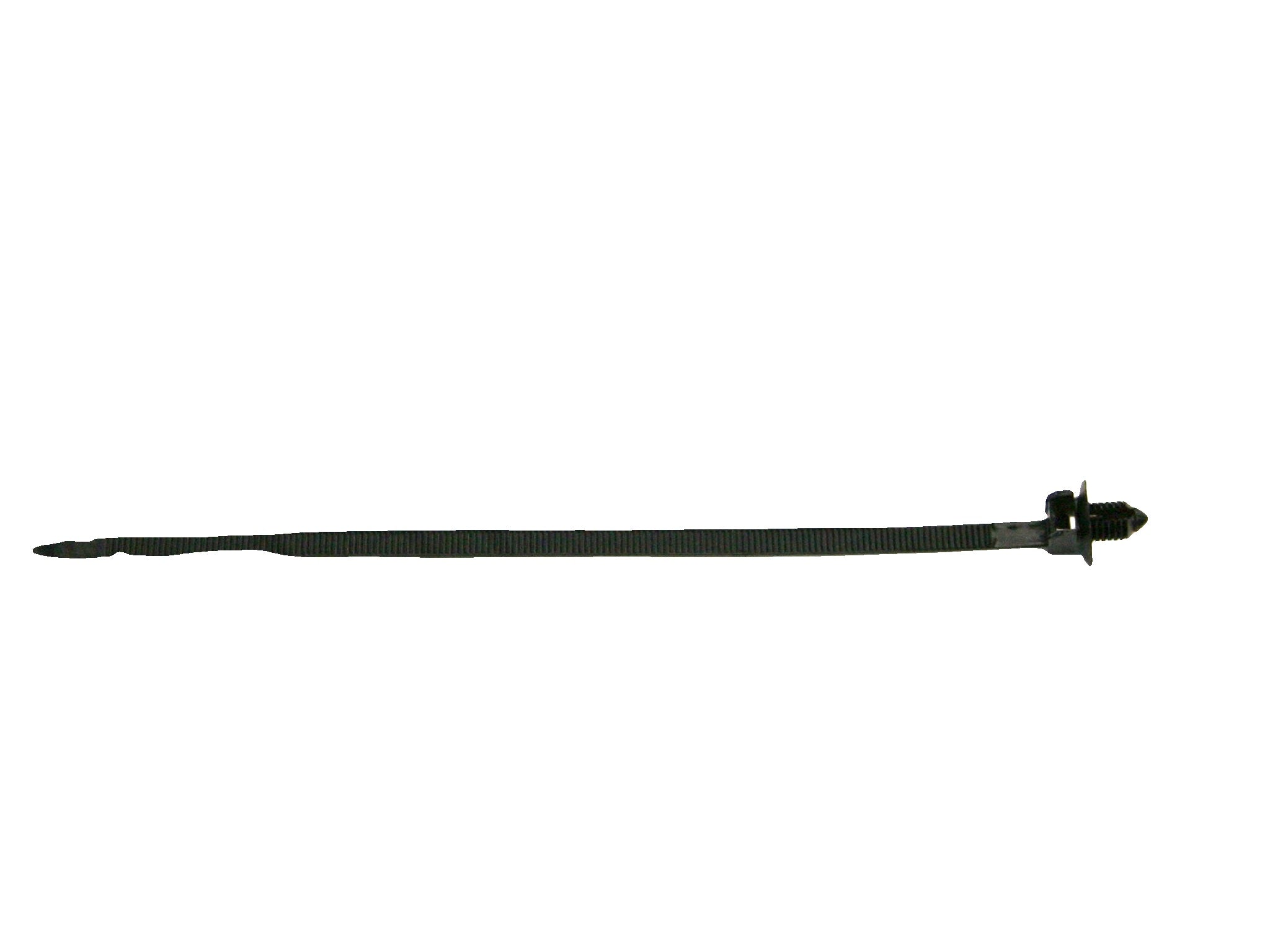 217854 - CLAMP
