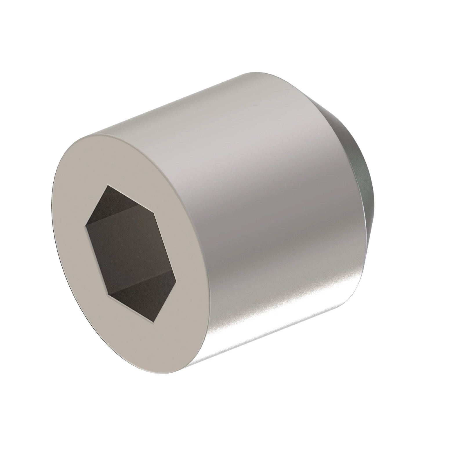 22M7081: 22M7081: Hexagonal Socket Headless Set Screw, M10 X 10