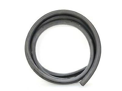 New 2000-2007 Fits Ford Focus Weatherstrip Assy - Door Opening, Part # 2M5Z54253A10BA