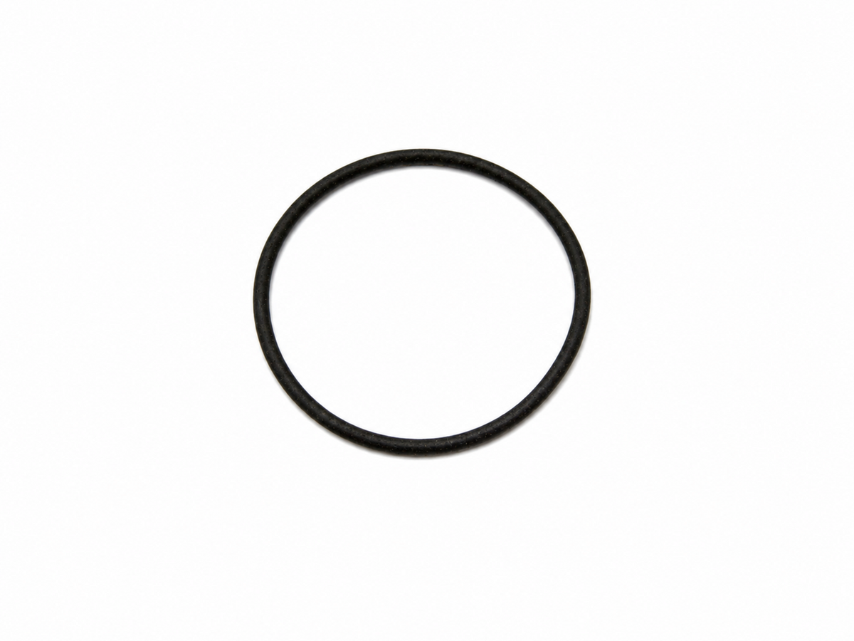 239413 - O-Ring