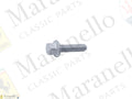239960 - Screw