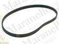 244469 - Alternator Drive Belt