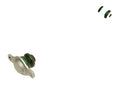 245161 - Tie Rod Complete
