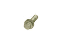 245843 - Screw TE M10 x 1.25 x 30 with washer