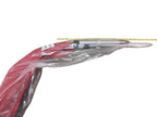Fits Sea-Doo Sportster / Speedster / Utopia Bimini TOP ASM RED, Part # 204950227 - Vintage image