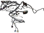 Fits BRP Harness-frame, OEM Part # 219800318
