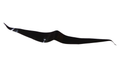 Fits Sea-Doo RH REAR Lateral Decal, OEM Part # 219904349