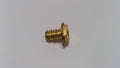 Sea-Doo Insert Capuchon M8, OEM Part # 293450290