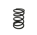 BRP Clutch Spring, OEM Part # 417223459