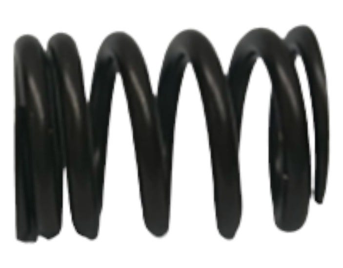 Fits BRP Valve Spring, Outer, OEM Part # 420238211