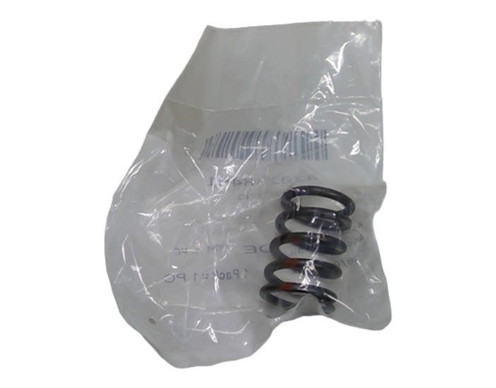 Fits BRP Valve Spring, OEM Part # 420238461