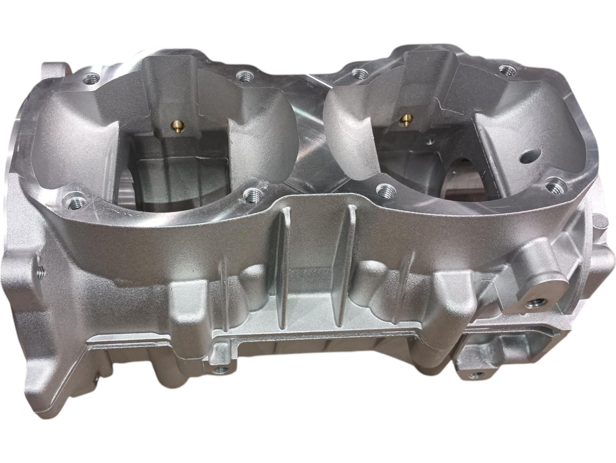 Fits BRP Crankcase Ass'y, OEM Part # 420891061