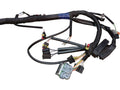 Fits Sea-Doo MAIN Harness, OEM Part # 515176658