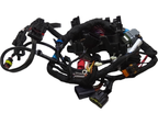 Fits 2016-2018 Ski-Doo 4- GRAND TOURING 4-TEC / 7- RENEGADE 4-TEC Wiring Harness Assy, OEM Part # 515177993